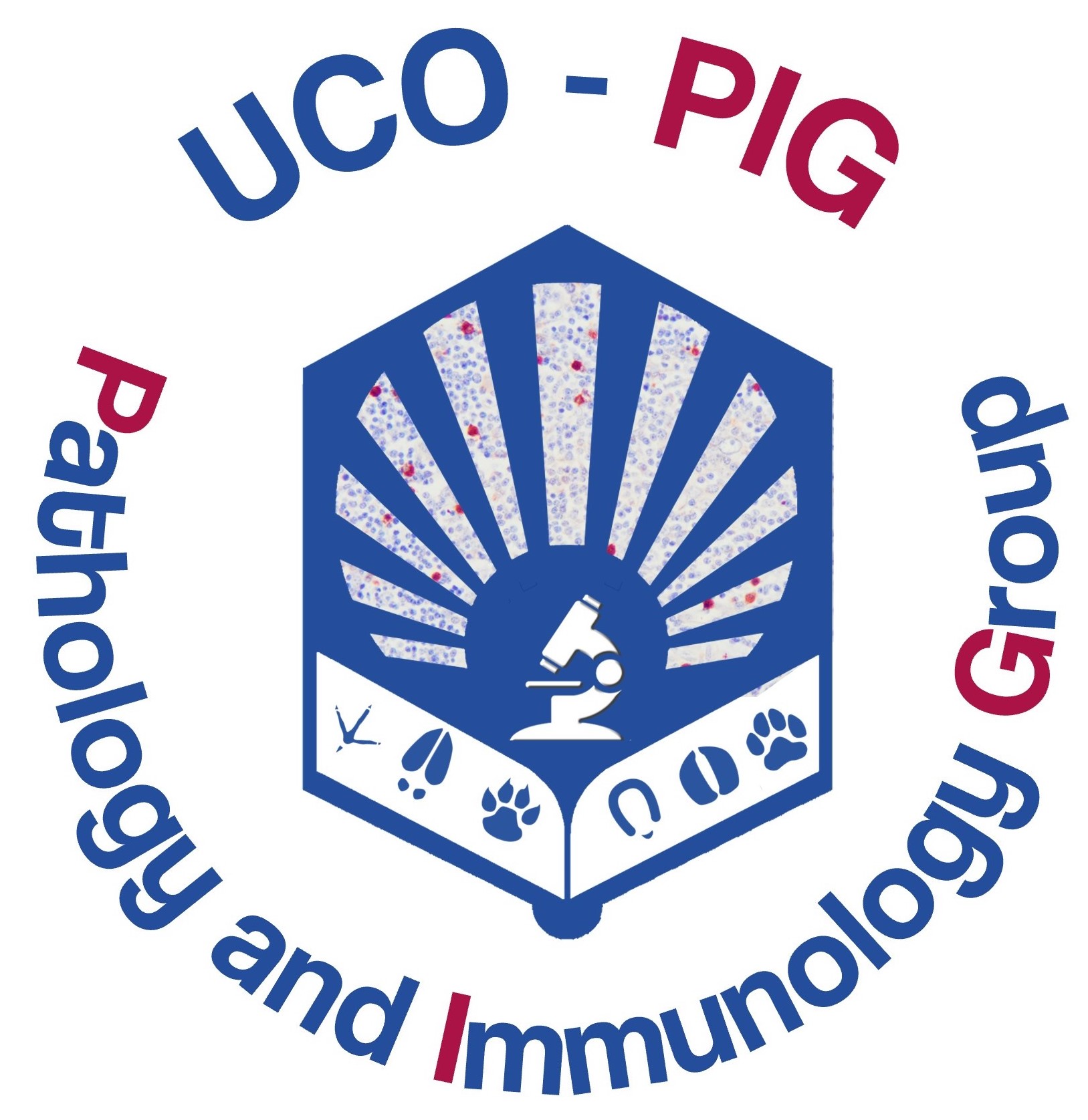 Logo UCO PIG