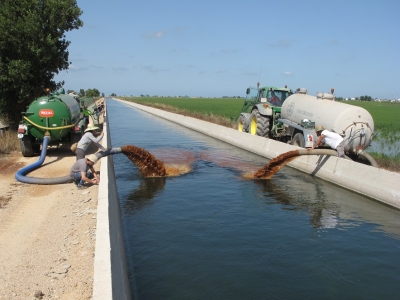 El proyecto EBRO-ADMICLIM estudia las acciones de adaptación y mitigación del cambio climático en el Delta